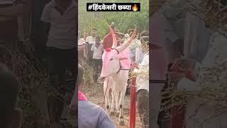 गुंडा कुंभार चेअरमन आष्टा यांचा हिंदकेसरी वाघ