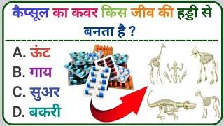 नालंदा विश्वविद्यालय किस राज्य में स्थित है || Gk Question || Gk Question And Answer || Gk In Hindi