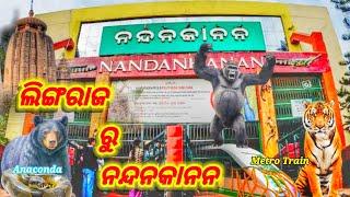 ଲିଙ୍ଗରାଜ ମନ୍ଦିର ରୁ ନଦନ କାନନ enjoy full days 😆😲😆#new #odia #youtube #lingaraj temple