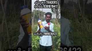 కలకడ విఘ్నేశ్వర Traders నంధక మరియు తక్షణ అందుబాటులో ఉన్నాయి..