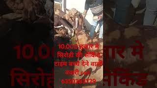 10,000 हजार मे सिरोही की सेकिंड टाइम बच्चे देने वाली बकरी call 6350383729