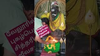 ஸ்ரீலஸ்ரீ சுப்பையா சுவாமிஜீவசமாதி மடம்/ வேலூர் புதிய பேருந்து நிலையம் காட்பாடி செல்லும் பாலமருகில்/