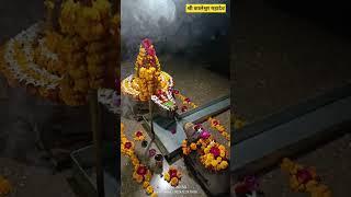 🙏🙏श्री कालेश्वर महादेव 🪷मंदिर 🪷 कालाबाग🌼 गुफा अशोकनगर💫💫💯💯