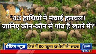 "जशपुर में 80 हाथियों का बड़ा दल! | क्या आपका गांव सुरक्षित है?" #jashpurnews ElephantNews-md