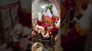 जय मां हरसिद्धि देवी मंदिर रानगिर सागर मध्य प्रदेश 🌺 प्रातः मंगला श्रंगार आरती दर्शन 🌺 11/01/2025🌺