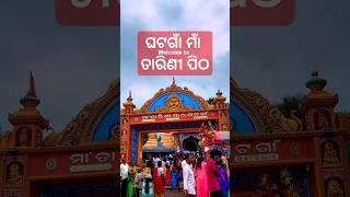 ଘଟଗାଁ ମାଁ ତାରିଣୀ ପିଠ ! Welcome to Keujhor ! Traveling Videos ! Ghota gaa !