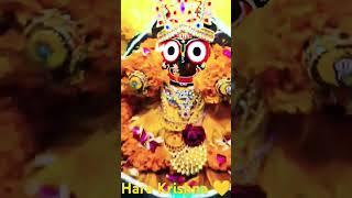 Jagganath Darshan