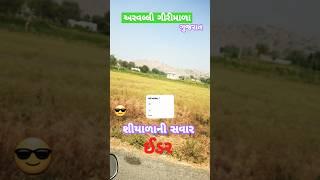 શીયાળાની 🦹સવાર ઇડર|GUJARAT