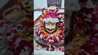 *श्री महादेव संस्थान लहान ऊमरी अकोला* *05/01/2025* *सोमवार* *श्रृंगार दर्शन#youtube shorts video☘️🙏🏻