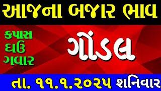 Commodity price 11.1.2025 gondal marketing yard na bhav | saurashtra ajna bajar bhav |commodity rate