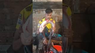 Amazing Pangash Fish Cutting Skills #ytshorts #shorts_videos #Fish Cutting 💥💥