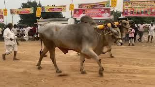 గోపాలం శివ సాగర్ చౌదరి గారు* గోపాల వారి పాలెం గ్రామం పల్నాడు జిల్లా