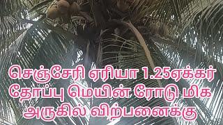 (449) பொள்ளாச்சி to திருப்பூர் மெயின் ரோடு அருகில் 1.25ஏக்கர் தோப்பு கிணறு சர்வீஸ் உடன் விற்பனைக்கு