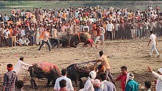 nepanagar hele ki takkar Aadesh vs shivnagari