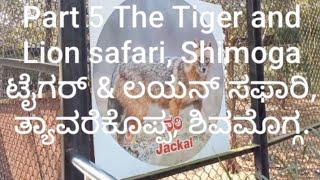 Part 5 The Tiger and Lion safari, Thyavarekoppa,Shimoga ಟೈಗರ್ & ಲಯನ್ ಸಫಾರಿ, ತ್ಯಾವರೆಕೊಪ್ಪ, ಶಿವಮೊಗ್ಗ.