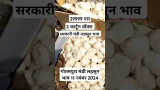 गोतमपुरा मंडी लहसुन भाव 11 नवंबर 2024