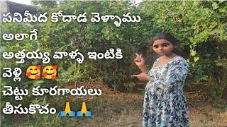 పనిమీద కోదాడ వెళ్ళాము 🥰#మా ఇంటీ కూరగాయలు #vlog 🙏🙏