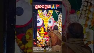 #ମୋ କାଳିଆରଶ୍ରୀକ୍ଷେତ୍ରଧାମ🙏🚩