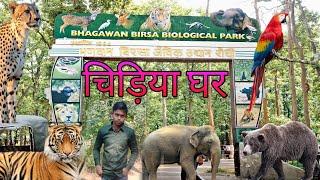 Bhagwan Birsa Biological Park | Ranchi Zoo | राँची चिड़ियाघर | Ormanjhi Ranchi | ormanjhi Park