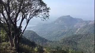 പാലക്കാട് നെല്ലിയാമ്പതി 🌳🌴