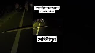 গোদাপিয়াসাল মেদিনীপুর অজগর সাপের দেখা,