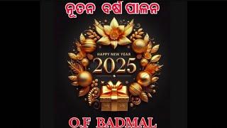 New Year Celebration Vlog, Badmal -2025| ନୂତନ  ବର୍ଷ ପାଳନ  ବଡ଼ମାଳ.