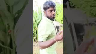 गौ रक्षक दल कुम्हेर #shortsviral #shortsfeed #dhortvideo #