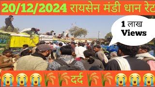 रायसेन धान || Raisen mandi bhav today || Raisen mandi dhan ka rate || Raisen mandi bhav || Farmer38