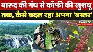 Coffee Cultivation In Bastar: कभी चरम पर था Naxalism, अब ऐसे बदल रही बस्तर की तस्वीर | Chhattisgarh