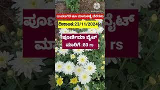 Davanagere flowers market today rates update/23/11/2024