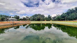 Sorbhog || Barpeta Assam || view  point🥰🥰🥰🥰🥰