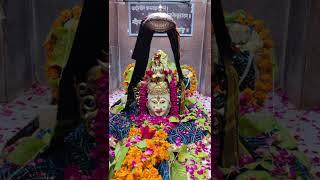 श्रावण मास में महादेव का श्रृंगार ######   निवाई के मंदिरो में