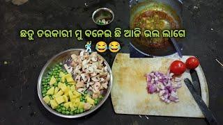 ଛତୁ ତରକାରୀ ମୁ ବନେଇ ଛି ଆଜି ଭଲ ଲାଗେ 🕺😂😂 vlog video