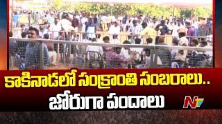 Sankranti Celebrations in Kakinada | Special Report | Ntv