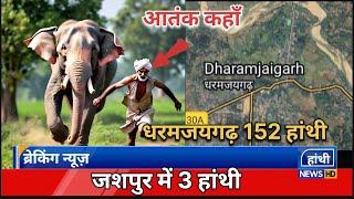 "धरमजयगढ़ में फिर हुए 152 हांथी, जशपुर में 3 का आतंक या राहत"ElephantNews-md #raigarhnews raigarh