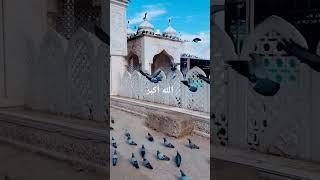 Hazratbal Dargah Sharif at Srinagar, Jammu and Kashmir, India.