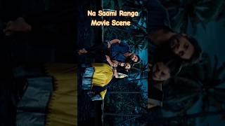 Na Saami Ranga Full Movie Hindi dubbed Scene 😐 Nagarjuna