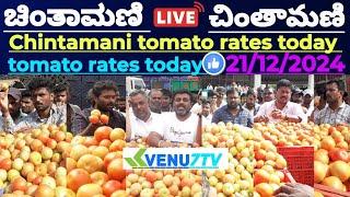 |Chintamani |today |21/12/2024 |today Tomato rates in Chintamani