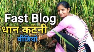 #video I Fast Blog। धान कटनी। वीडियो #में बहुत दिन के बाद धान काटने आई हूं। katni song। vairl blog