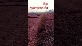 सुल्तानपुर उत्तर प्रदेश 💚💚