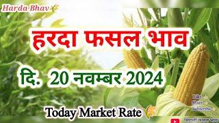 हरदा फसल भाव 🌽 20 नवंबर 2024 🌾। Harda Fasal Bhav । Today Market Rate