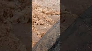 जहानाबाद गांवों में अधिक वर्षा करौली