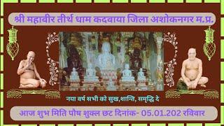 श्री १००८ अतिशयकारी महावीर धाम कदवाया जिला अशोकनगर म.प्र.आज की शान्ति धारा दिनांक-05.01.2025 रविवार