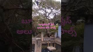 అందమైన ఆలూరు కోన వాటర్ ఫాల్స్ #viralshort #shortvideplace.near తాడిపత్రి.. place.near తాడిపత్రి..