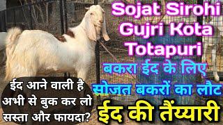 ईद आने वाली है ईद के लिए सोजत बकरों का लौट | Eid Walen Bakern | Bakra Eid | Saleem Bhai Roopnagar