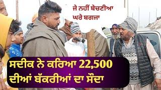 ਸਦੀਕ ਨੇ ਕਰਿਆ 22,500 ਦੀਆਂ ਬੱਕਰੀਆਂ ਦਾ ਸੌਦਾ।ਬੱਕਰੀ ਮੰਡੀ ਚਾਉਕੇ  (ਬਠਿੰਡਾ)