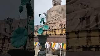 Buddha statue bodhgaya