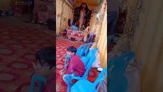 बिरसिंहपुर पाली का काली पंडाल#sorts #video #