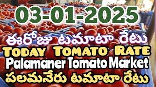 పలమనేరు 🍅🍅🍅టమాటో మార్కెట్ ధరలు 03-01-2025 ||ఈ రోజు టమోటా ధర Palamaner Market||ckgowthamvlogs