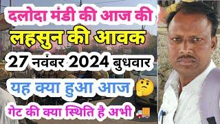 दलोदा मंडी की आज की लहसुन आवक,27 नवंबर 2024 बुधवार || Lahsun aavak